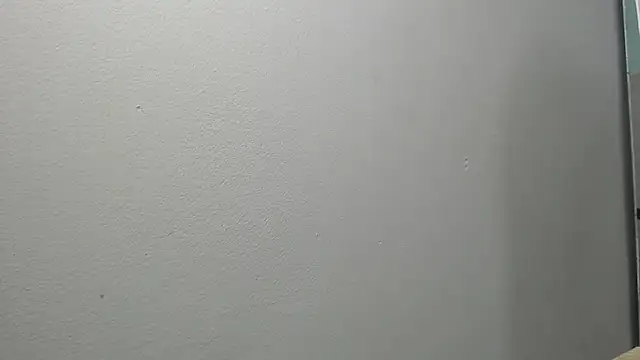 sussy leon online show from February 2025 12:03:02 PM