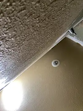 Ohodges online show from September 2025 07:37:02 PM