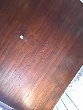 KAZADO LIBERAL online show from November 2025 03:24:01 PM