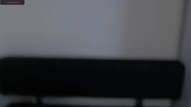 Snapshot of LaimaV_ chatting on December 2024 04:29:02 PM LaimaV online show from December 2024 04:29:02 PM