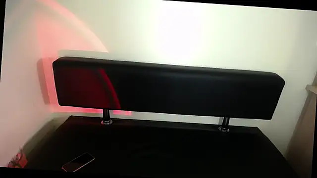 Snapshot of LaimaV_ chatting on January 2026 01:48:02 PM LaimaV online show from January 2026 01:48:02 PM