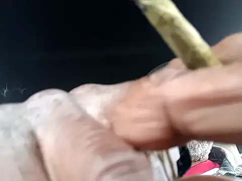 Snapshot of yasohw chatting on December 2024 10:31:01 PM yasohw online show from December 2024 10:31:01 PM