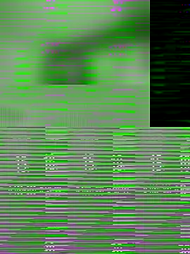 Rajni-Mehra online show from December 2025 04:51:01 AM