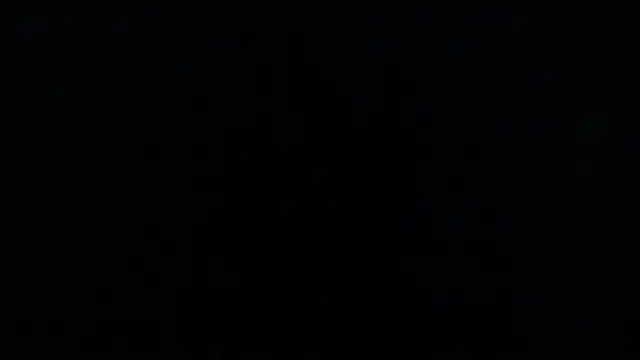 Little Chips online show from March 2025 12:41:01 AM