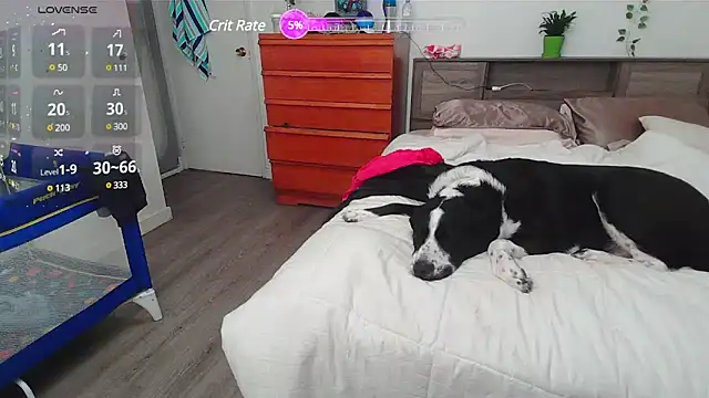 Kittyymaze1 online show from March 2025 02:32:01 PM