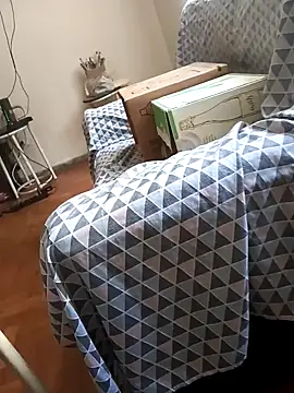 Snapshot of lobomisterioso13 chatting on January 2025 06:35:01 PM lobomisterioso13 online show from January 2025 06:35:01 PM