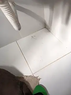 Snapshot of lobomisterioso13 chatting on March 2025 12:07:02 PM lobomisterioso13 online show from March 2025 12:07:02 PM