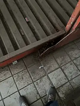 A-mira online show from March 2025 09:56:02 AM