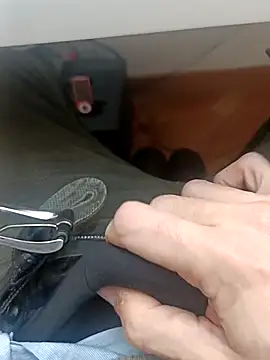 the lion 69 online show from February 2026 09:58:01 AM