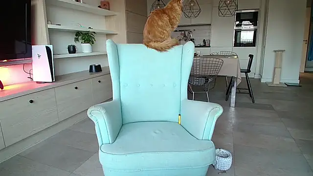 Snapshot of Kotis_Foxy chatting on October 2025 02:58:02 PM Kotis Foxy online show from October 2025 02:58:02 PM