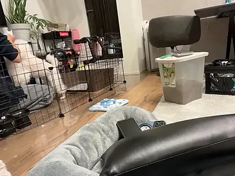 kensnb online show from November 2025 09:11:02 AM