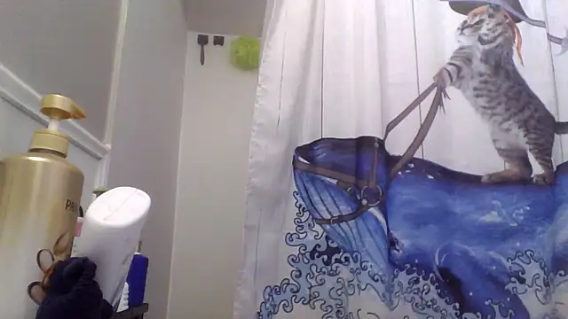 clitstitsandbongrips online show from November 2025 03:17:02 AM