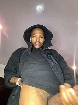 Snapshot of BlueIceCube chatting on March 2025 09:37:02 AM BlueIceCube online show from March 2025 09:37:02 AM