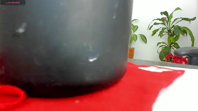 Michel Jones online show from March 2025 12:11:02 AM