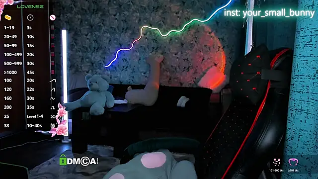 Your small bunny online show from April 2026 02:03:02 AM