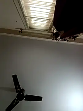 blr boi online show from December 2025 06:54:02 AM