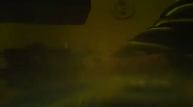 Snapshot of qoooqing67 chatting on December 2024 05:58:02 AM qoooqing67 online show from December 2024 05:58:02 AM