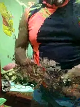 ShelfyOfferer online show from January 2026 11:14:01 PM