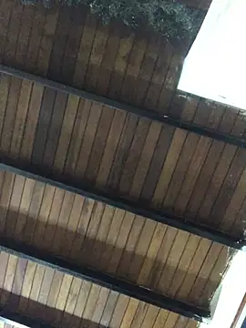 isacalejandroo online show from January 2025 04:02:01 AM