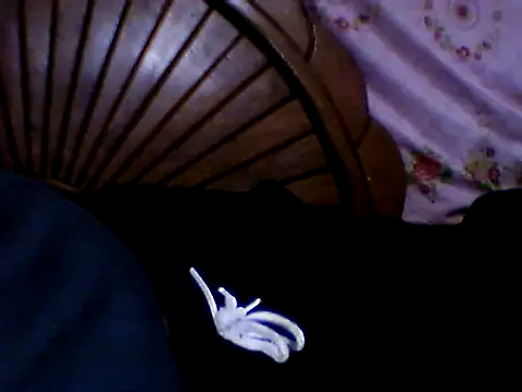 penesillo79 online show from November 2025 03:05:02 AM