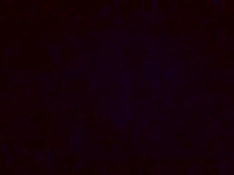 jellydicks online show from December 2024 05:26:01 PM