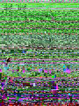 Harii 02 online show from February 2025 07:49:01 PM