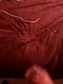 pedritolobito online show from December 2024 04:11:01 PM