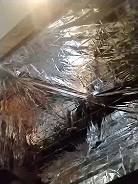 Snapshot of axelongshaft69 chatting on December 2024 01:50:01 AM axelongshaft69 online show from December 2024 01:50:01 AM