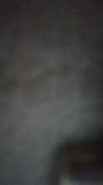 Snapshot of axelongshaft69 chatting on February 2025 03:49:02 PM axelongshaft69 online show from February 2025 03:49:02 PM