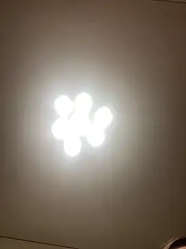 Janet Welder online show from December 2024 05:15:01 AM