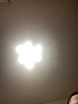 Janet Welder online show from November 2025 12:24:02 AM