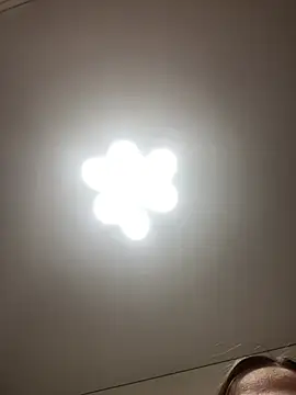 Janet Welder online show from April 2026 08:29:01 PM