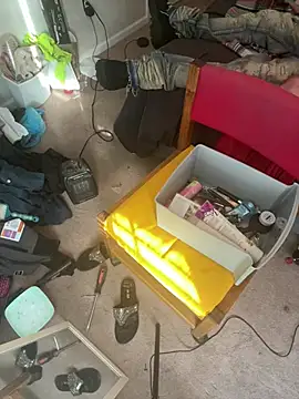 torilux online show from January 2025 01:56:02 PM