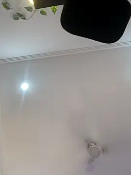 Archi-07 online show from October 2025 08:11:01 AM