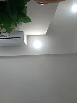 Snapshot of Archi-07 chatting on February 2026 06:11:02 AM Archi-07 online show from February 2026 06:11:02 AM