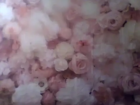 Snapshot of camiliaskye chatting on December 2024 04:49:02 AM camiliaskye online show from December 2024 04:49:02 AM