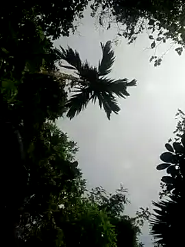 kumaricapalsex2 online show from January 2025 05:34:01 AM