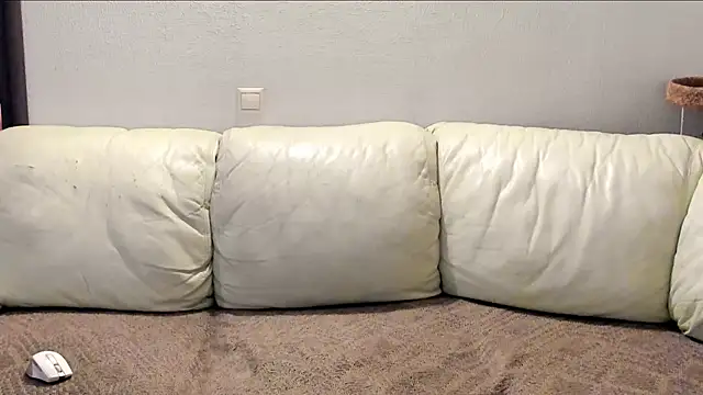 Pawsitive Panther online show from December 2024 08:44:01 PM