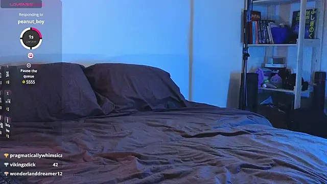 Snapshot of Space_X_Roxy_ chatting on January 2025 10:30:02 PM Space X Roxy online show from January 2025 10:30:02 PM