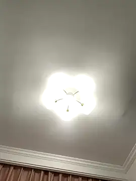 Aimeil online show from November 2025 07:05:02 PM