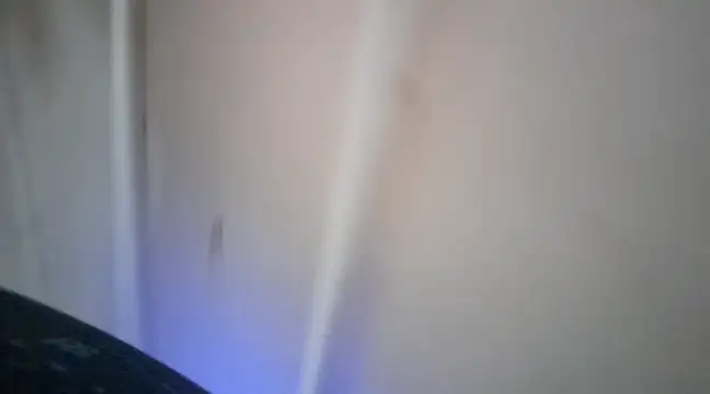 elcobin online show from March 2025 03:58:02 AM