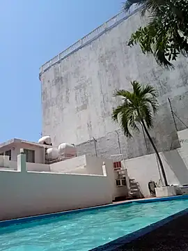 elcobin online show from March 2025 06:31:01 PM