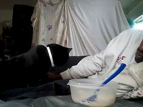 DevinToore online show from December 2025 06:01:02 PM