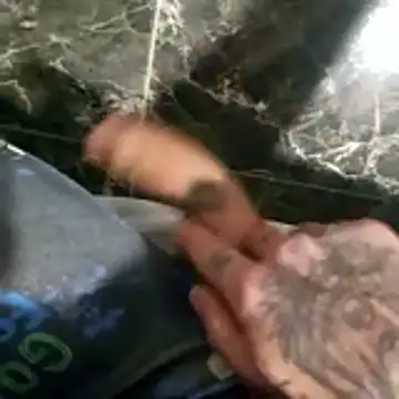 1234raul8 online show from January 2026 02:39:01 AM