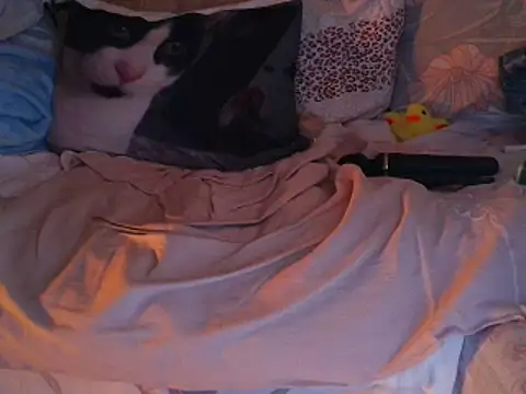 VeneRed online show from November 2025 07:51:02 PM