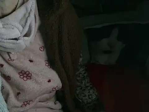 VeneRed online show from March 2026 09:19:02 PM