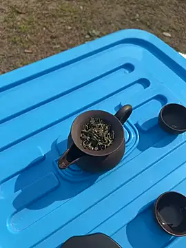 CN-Shanshan online show from February 2026 04:00:02 AM