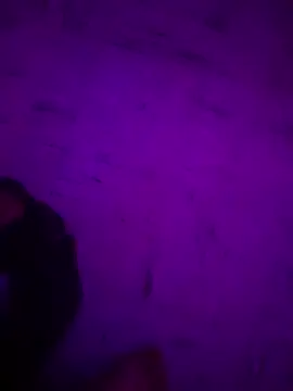 Snapshot of Argento14 chatting on November 2025 05:31:02 AM Argento14 online show from November 2025 05:31:02 AM