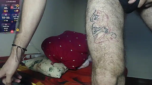 Dante Bear  online show from February 2025 04:31:01 AM