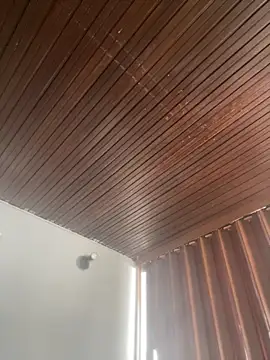 Praga Pink online show from March 2026 02:12:02 PM